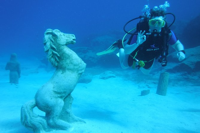 Local Guided Dives (for certified/licensed divers) - Equipment, photos, and the real value of $78.61
