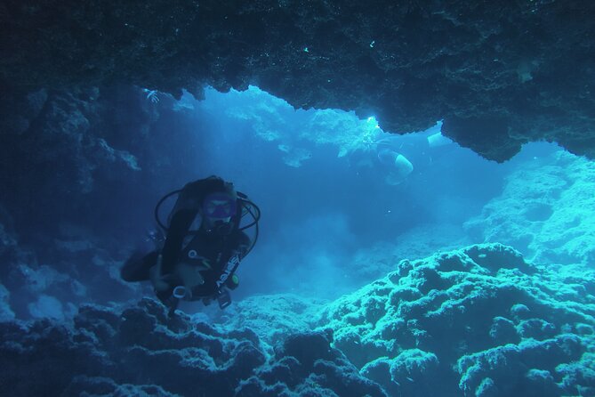 Local Guided Dives (for certified/licensed divers) - Safety, comfort, and who should book