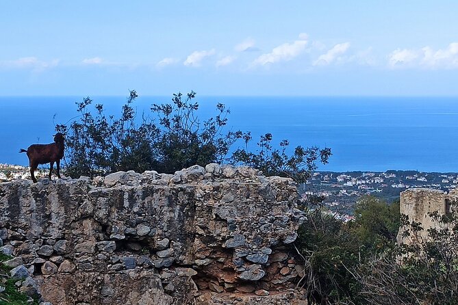 Nature Walking tour in the Mediterranean Cyprus-6days - Six useful things to know before booking