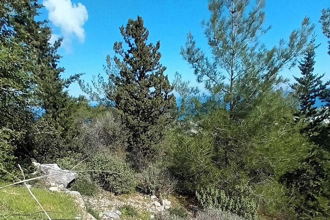 Nature Walking tour in the Mediterranean Cyprus-6days - Day 6: Karmi and the final walk west of Kyrenia