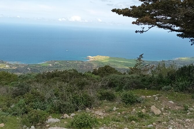 Nature Walking tour in the Mediterranean Cyprus-6days - What $227 really gets you