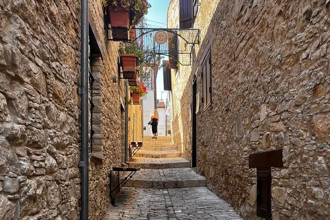 Omodos and Winiary tour, let's feel winter in Cyprus Mountain. - Winiary and the Cyprus wine tasting