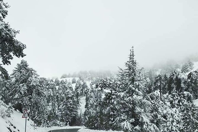 Omodos and Winiary tour, let's feel winter in Cyprus Mountain. - The True Cross Monastery and village museums