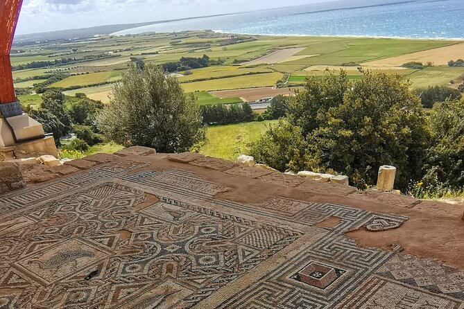 Pafos - Archaeology & Beauty tour from Limassol - Aphrodite’s Rock and a short coastal pause