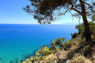 Akamas Gorge & Turtle Bay & Donkey Farm Jeep Safari Tour