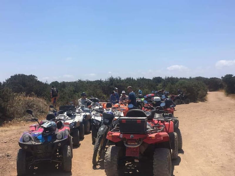 Paphos: Buggy Tour Akamas incl and Adonis Falls - Adonis Falls and the cold-water finish