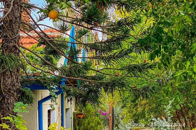 Perfect Day Trip to Beautiful Lefkara tour from Limassol. - Pickup, timing, and practical details