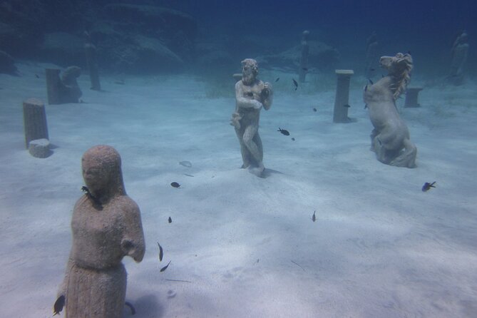 Private Discovery Dive + Photos & Videos - Photos, videos, and the value of the price