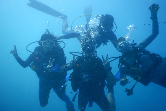 Private Discovery Scuba Diving with Sea Turtles - Why Green Bay works for a first scuba session