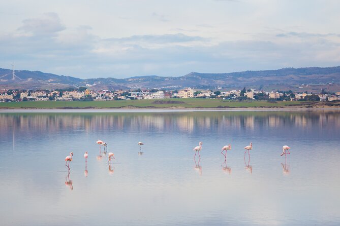 Private Full-Day Tour in Larnaca with Hotel Pick Up - Hala Sultan Tekke: an important religious site by the lake