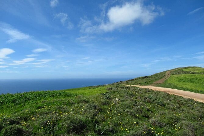 Quad or Buggy Tour from Coral Bay to Adonis Baths - What this Coral Bay quad tour is really like