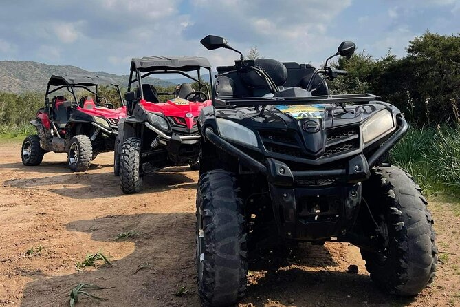Quad or Buggy Tour from Coral Bay to Lara Bay - The EDRO III shipwreck near Peyia