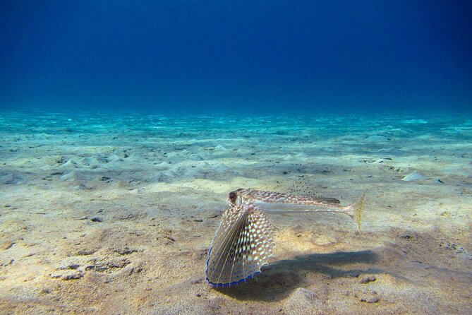 Scuba Diver Course - Before you arrive at Latchi Dive Centre