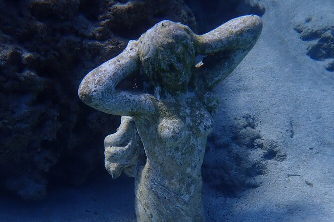 Scuba Diving Activity in Pernera - Is $89.53 good value?