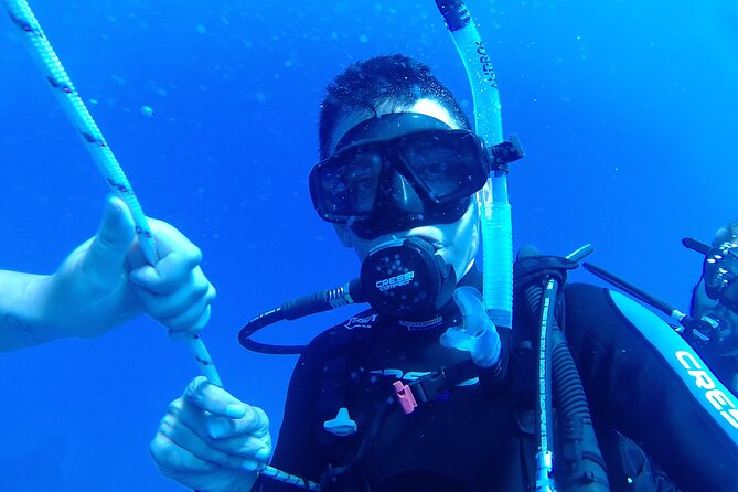 Scuba Diving Cyprus Experience Protaras and Ayia Napa & Turtles - Pickup, timing, and the small practical details