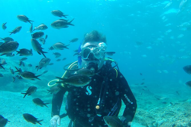 Scuba Diving Cyprus Experience Protaras and Ayia Napa & Turtles - What happens at Yellow Fins Scuba Centre
