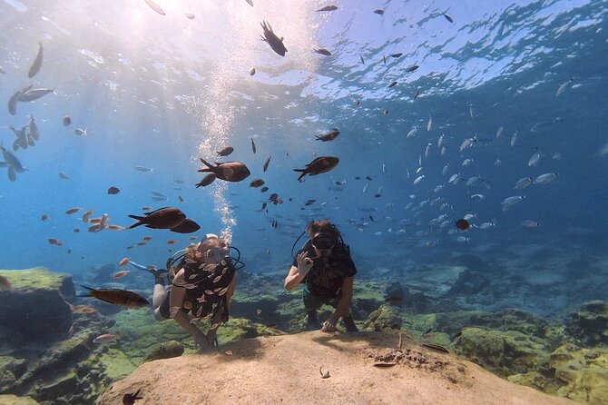 Scuba Diving Experience (10+ Years) AND Free Edited Video - Is $84.48 good value?