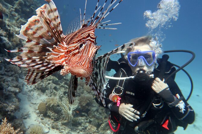 Scuba Diving Experience & MUSAN Dive + Free Edited Video 2xdives - What makes MUSAN worth the second session