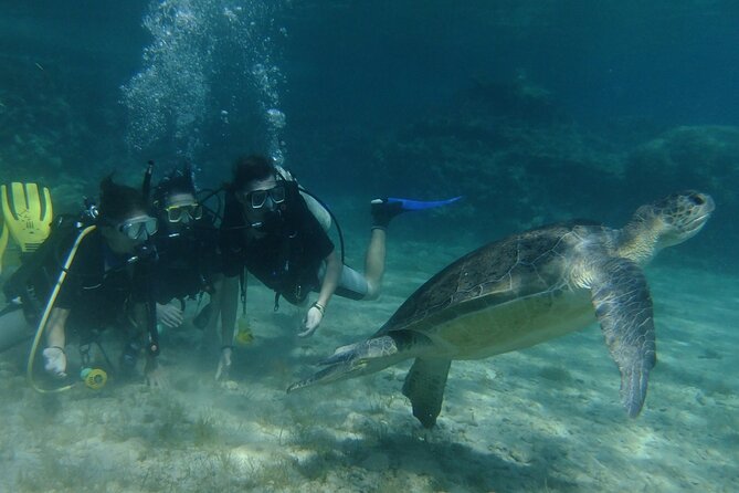 SCUBA DIVING first time experience - The land lesson makes the sea feel easier