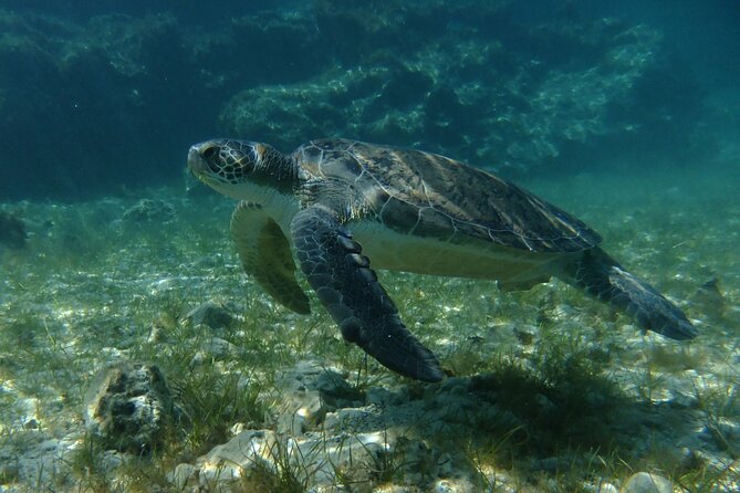SCUBA DIVING first time experience - What the $90.74 price includes