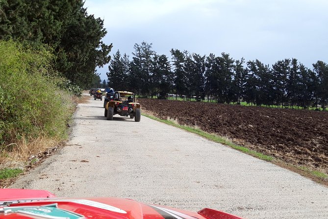 Self drive Buggy Safari at Aphrodite's Rock in Paphos - Practical advice before you book