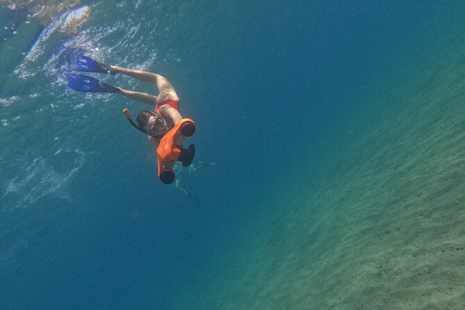 snorkeling ,Turtle Watching in Cyprus - How the guides shape the experience