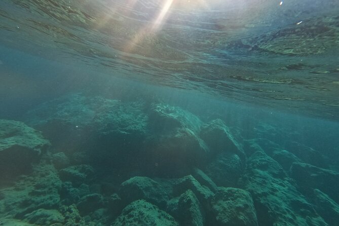 snorkeling ,Turtle Watching in Cyprus - Is $72.59 good value?