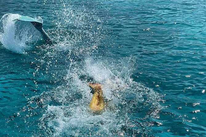 The Mermaid Cruise by Medusa Cruises – 2:30-Hour Family Adventure - Agioi Anargyroi Chapel from the sea