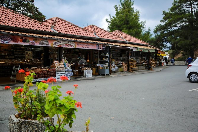 Tour to Troodos, Kykkos Monastery, Omodos and Winery from Paphos - From Paphos to the pine forests of Troodos