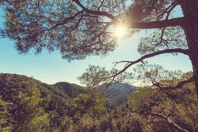 Troodos Jeep Safari from Protaras,Ayia napa & Larnaca - Lambouri Winery and a taste of Cyprus