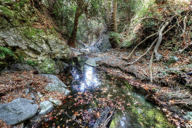 Troodos Jeep Safari from Protaras,Ayia napa & Larnaca - What off-road really means here