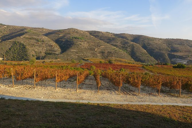 Troodos Mountains Grape Escape: All Inclusive Food & Wine Tour - What the guides add to the day