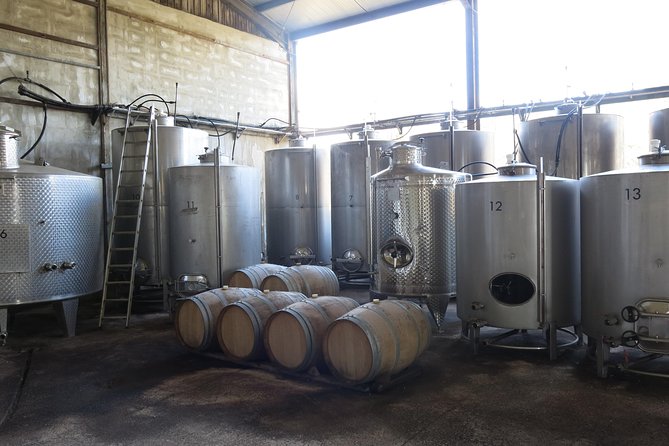 Troodos Mountains Vino Venture: All Inclusive Full Day Wine Tour - The mountain drive from Paphos
