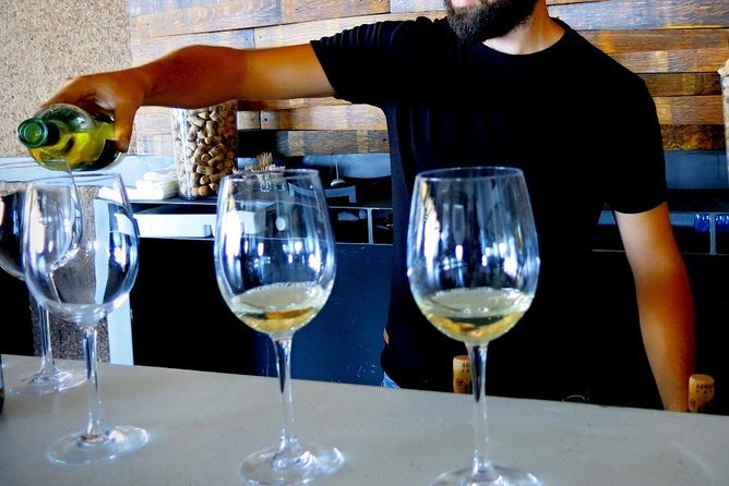 Troodos Mountains Vino Venture: All Inclusive Full Day Wine Tour - The village meze is more than a lunch break