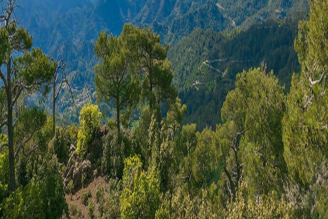 Troodos Peaks & Mountain Flavors Day Tour from Paphos - Omodos and Timios Stavros Monastery
