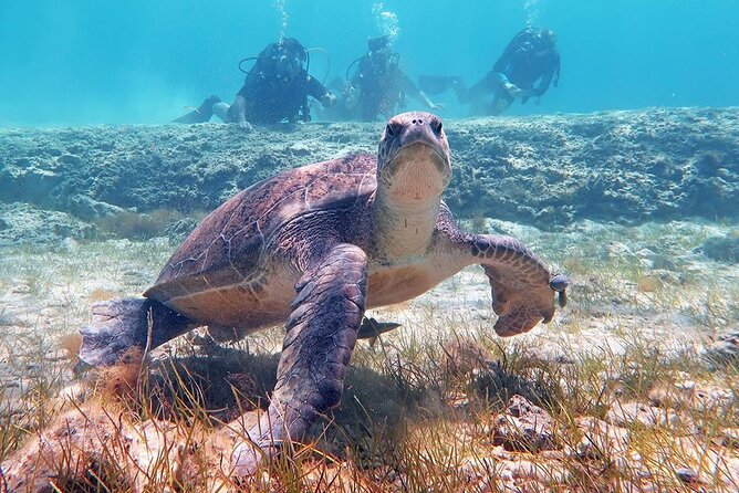 Try a Scuba Diving Experience - Free photos and videos add real value