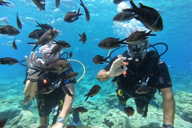 Try a Scuba Diving Experience - Is $90.74 good value?