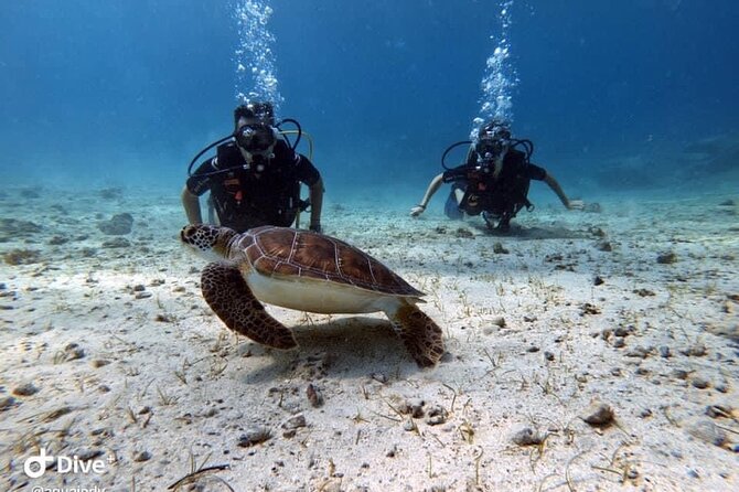 Try a Scuba Diving Experience - Pickup, timing, and meeting at Sirens