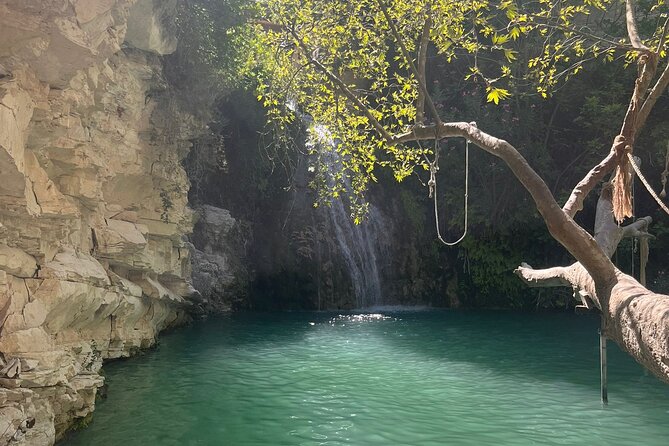 Ultimate Buggy Jeep Off Road Tour Akamas & Blue Lagoon Cruise! - Forest tracks, views, and a little controlled chaos