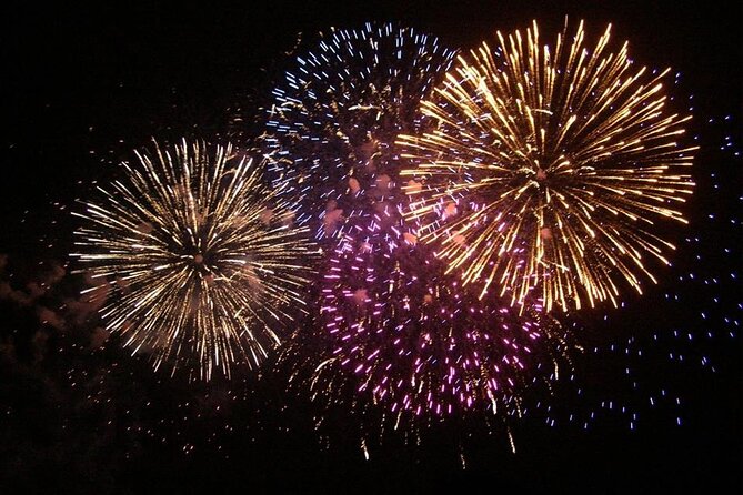 Wave Dancer Deluxe Night Cruise with Fireworks - Adults Only - Practical details that can make the night easier
