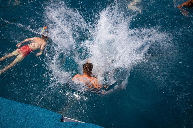 Wave Dancer Sunshine Full Day Cruise - All Inclusive - Sea Caves and Coral Bay from the water