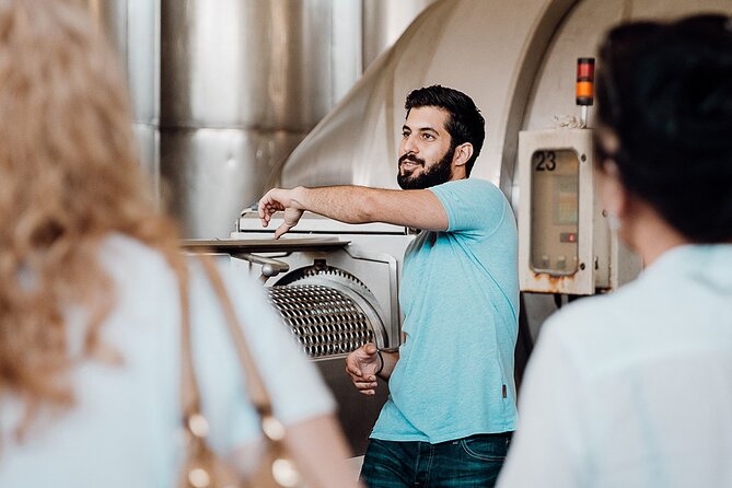 Wine tasting and winery tour at Fikardos Winery - Practical details that affect your decision