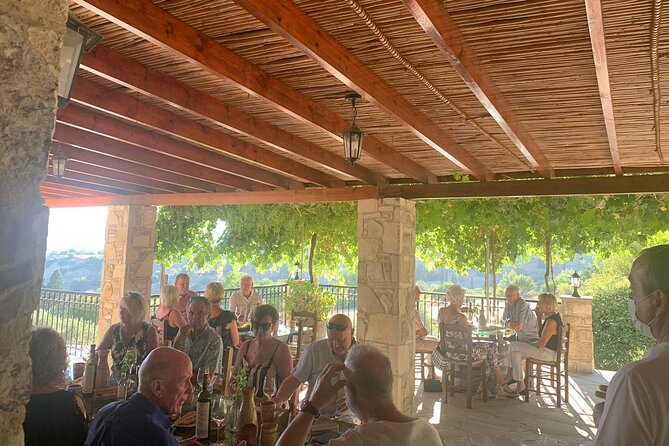 Wine Tasting and Winery Tour in Lemona Village, Paphos - The local grapes are the main reason to book