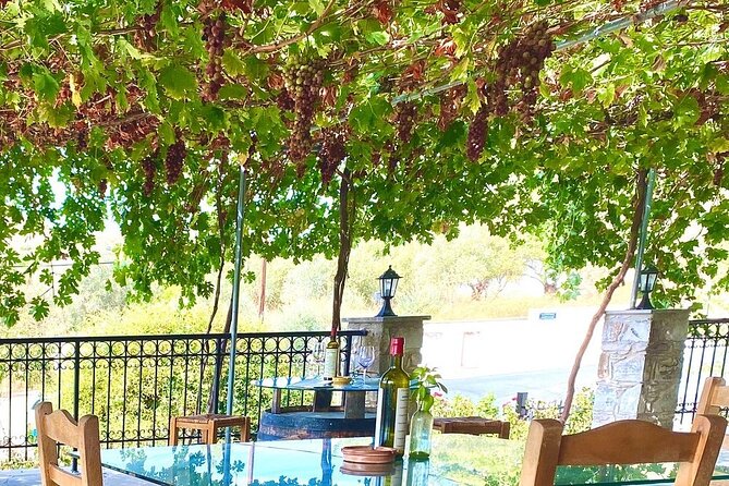 Wine Tasting and Winery Tour in Lemona Village, Paphos - How the food pairing affects the visit