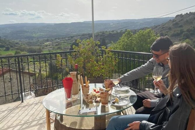 Wine Tasting and Winery Tour in Lemona Village, Paphos - Price, booking, and the value question
