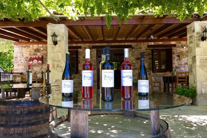 Wine Tasting and Winery Tour in Lemona Village, Paphos - Transport and timing in practical terms