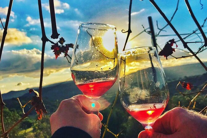 Wine Tasting and Winery Tour in Lemona Village, Paphos - The winery tour takes you behind the bottle